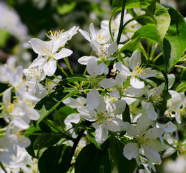 Similar image 2877987