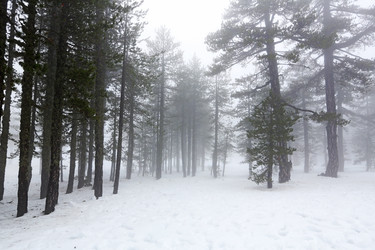 Similar image 2878022