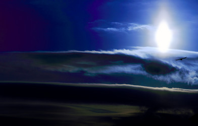 Similar image 2878027