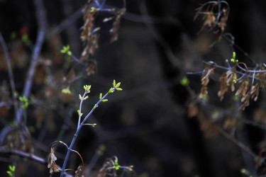 Similar image 2878037