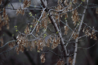 Similar image 2878038