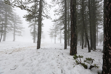 Similar image 2878042