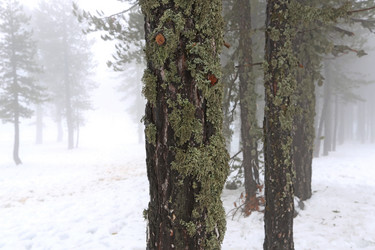 Similar image 2878053