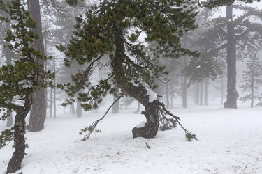 Similar image 2878054