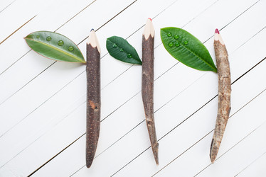 Similar image 2878160