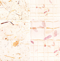 Similar image 2878174