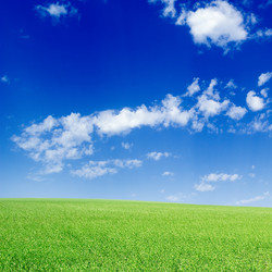 Similar image 2878245