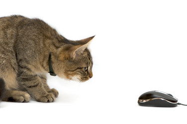 Similar image 2878248