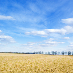 Similar image 2878251