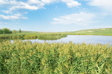 Similar image 2878256