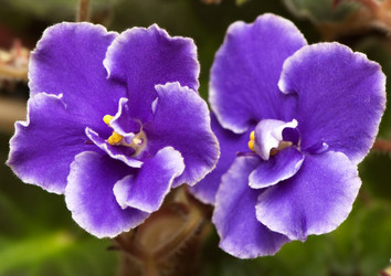 Similar image 2878265