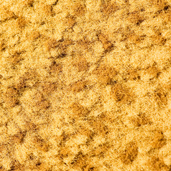 Similar image 2878267