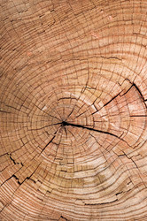 Similar image 2878272