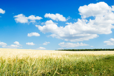 Similar image 2878278