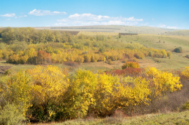 Similar image 2878280