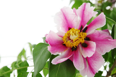 Similar image 2878404