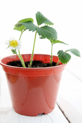 Similar image 2878409