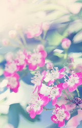 Similar image 2878410