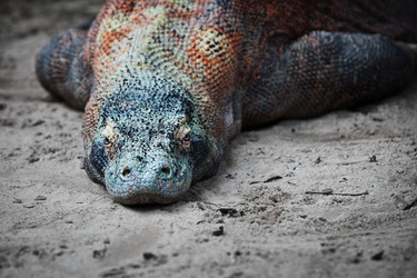 Similar image 2878423