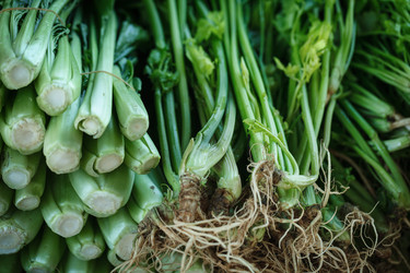 Similar image 2878476