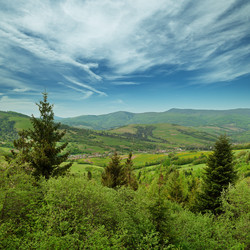 Similar image 2878479