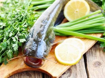 Similar image 2878528