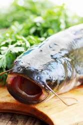 Similar image 2878530