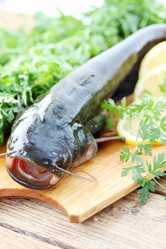 Similar image 2878531