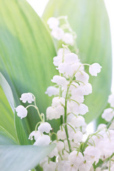 Similar image 2878537