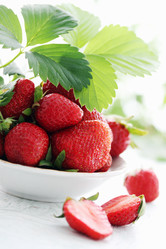 Similar image 2878543