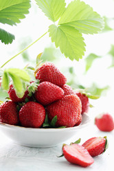 Similar image 2878551