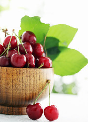 Similar image 2878553