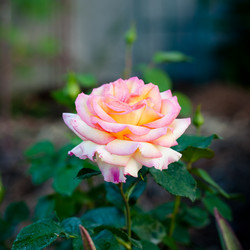 Similar image 2878670