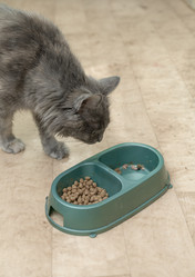 Similar image 2878677