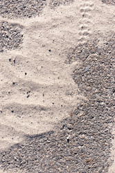 Similar image 2878773