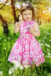 Similar image 2878796