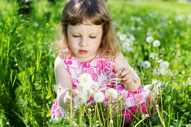 Similar image 2878799