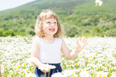 Similar image 2878819