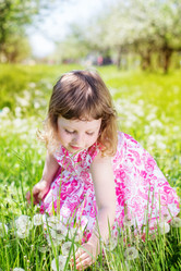 Similar image 2878826