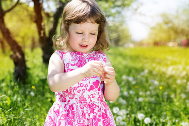 Similar image 2878827