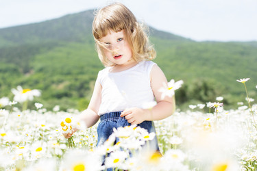 Similar image 2878835