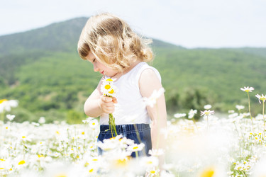 Similar image 2878841