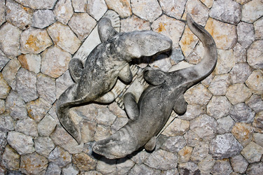 Similar image 2878849