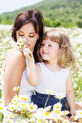 Similar image 2878858