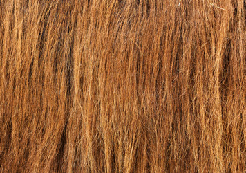 Similar image 2878888