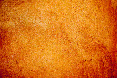 Similar image 2878923