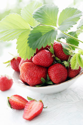 Similar image 2878946