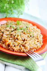 Similar image 2878948