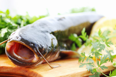 Similar image 2878953