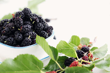 Similar image 2879024